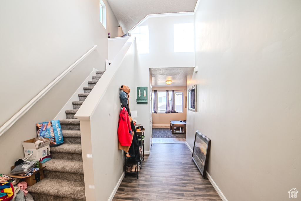 Staircase with wood finished floors, a high ceiling, baseboards, and ornamental molding