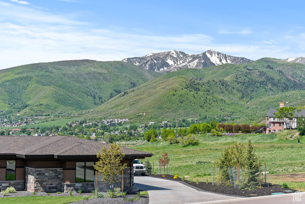 View of mountain background