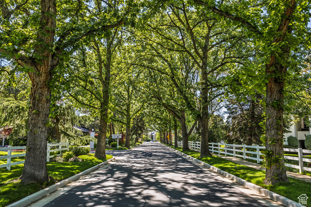 View of asphalt street with curbs