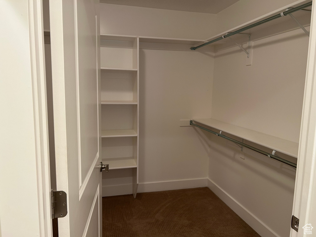 Spacious closet with carpet