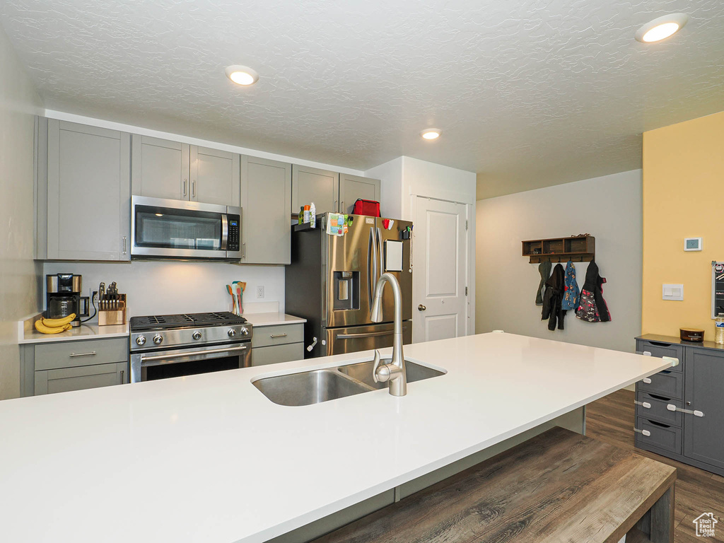 Kitchen with appliances with stainless steel finishes, gray cabinets, light countertops, dark wood-style flooring, and recessed lighting