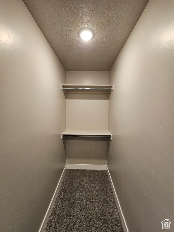 Spacious closet with carpet floors