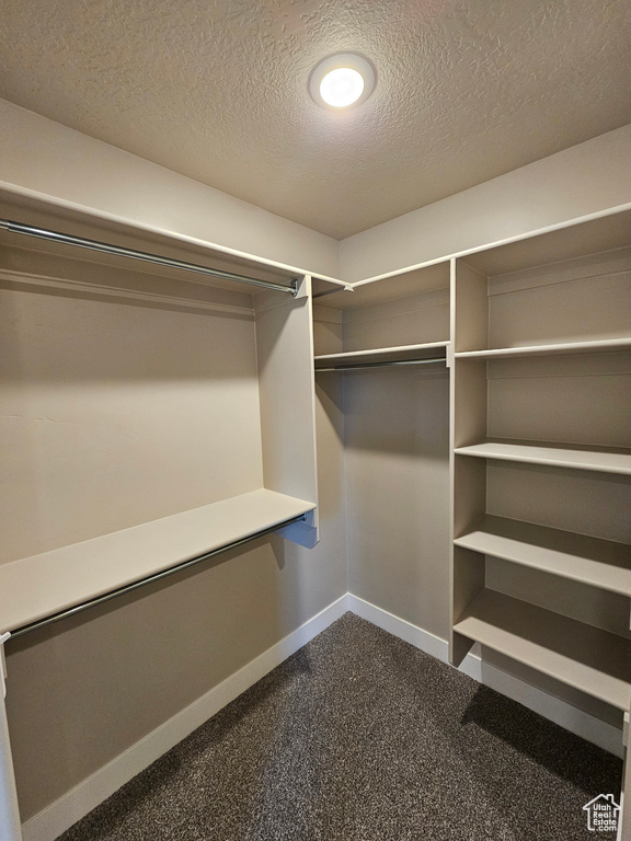 Walk in closet featuring dark carpet
