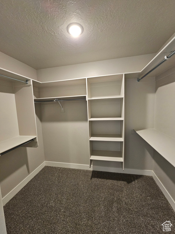 Spacious closet with dark colored carpet