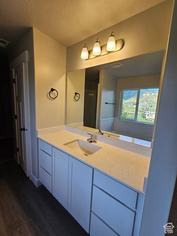 Bathroom with vanity, wood finished floors, and a textured ceiling