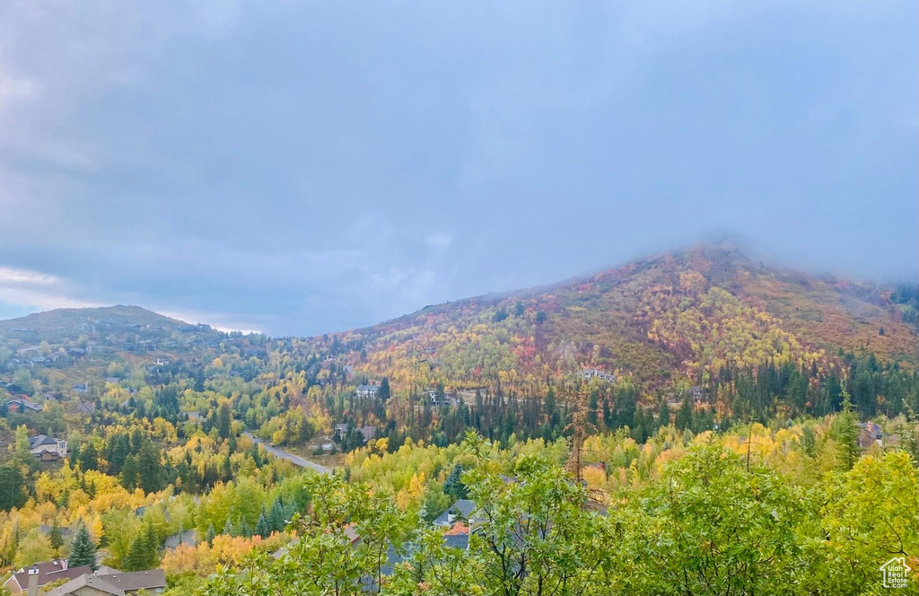 View of mountain backdrop with a forest