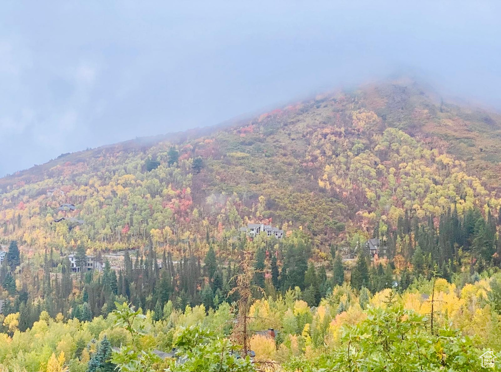Mountain view featuring a forest