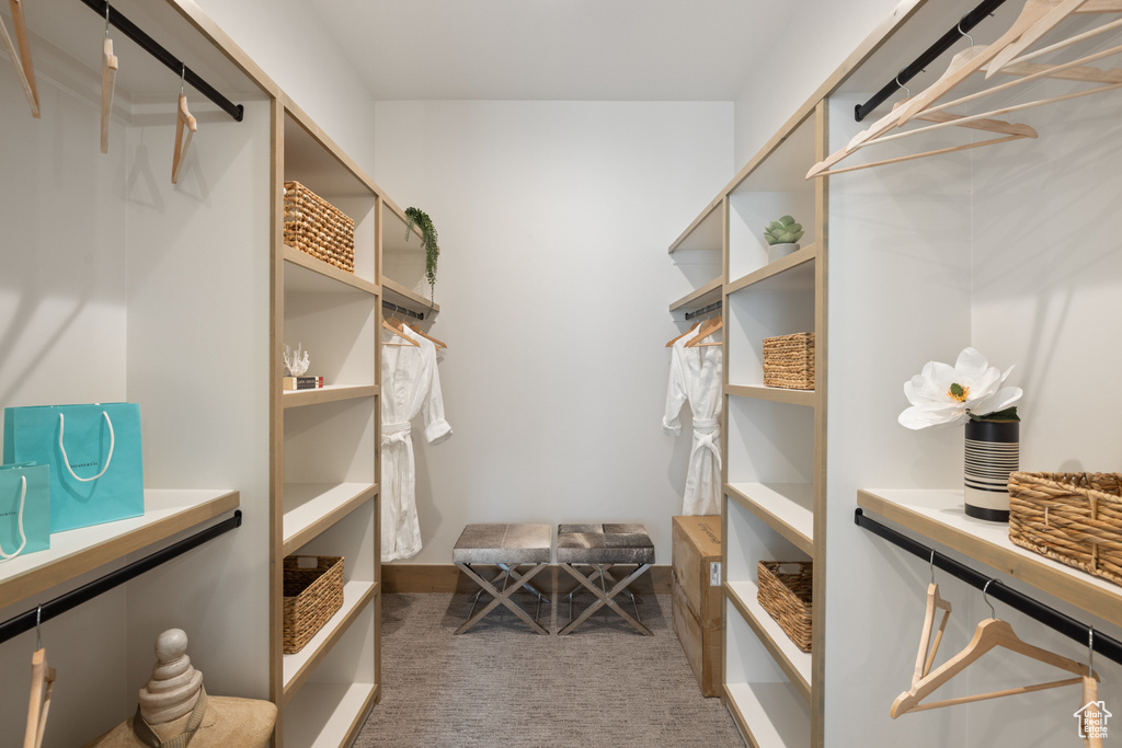 Walk in closet with carpet floors