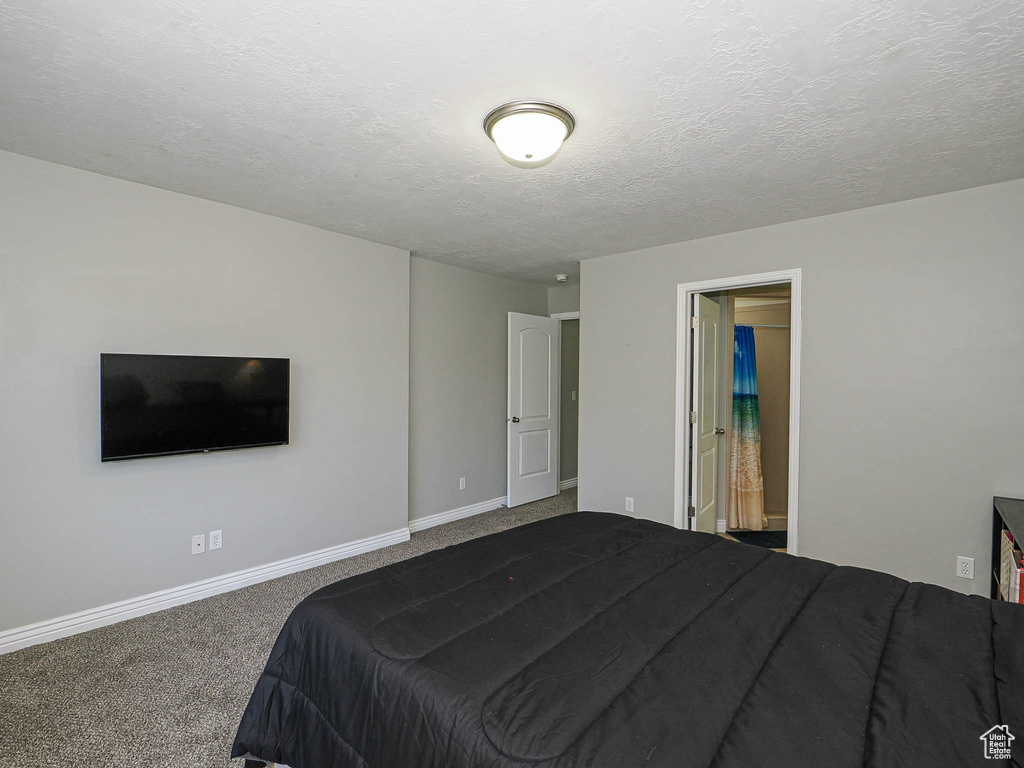 Bedroom featuring carpet flooring, a textured ceiling, and baseboards