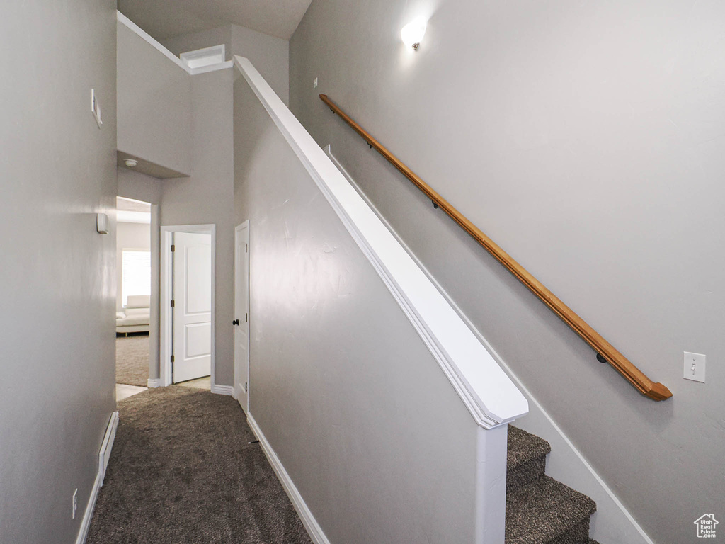 Stairway with carpet and baseboards