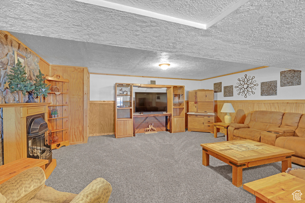 Carpeted living area with wood walls, wainscoting, a textured ceiling, and a wood stove