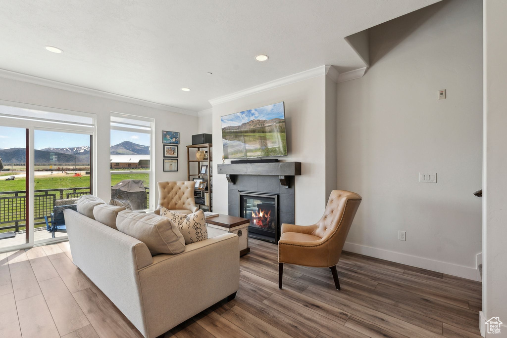 Living room with ornamental molding, a fireplace, wood finished floors, baseboards, and recessed lighting