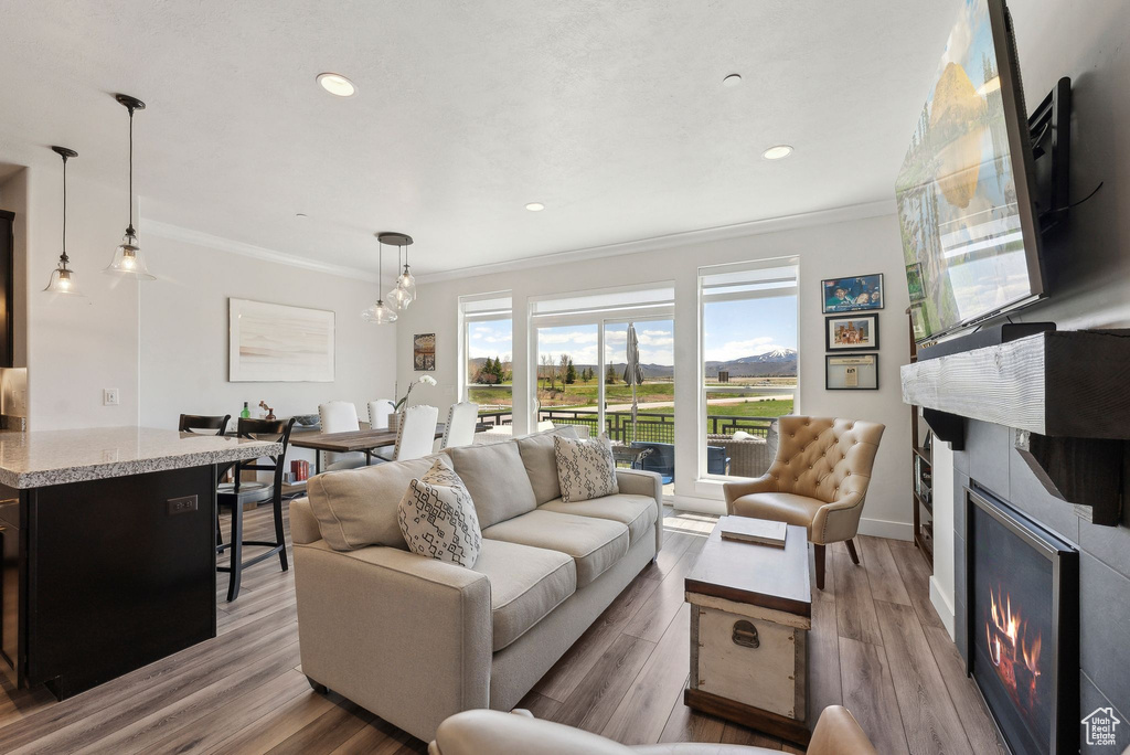 Living room with a glass covered fireplace, ornamental molding, light wood-style floors, recessed lighting, and baseboards
