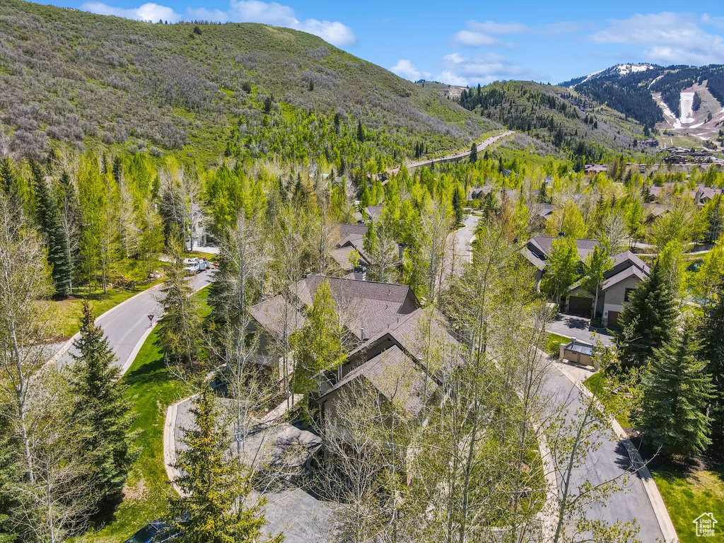 Bird's eye view of a mountainous background