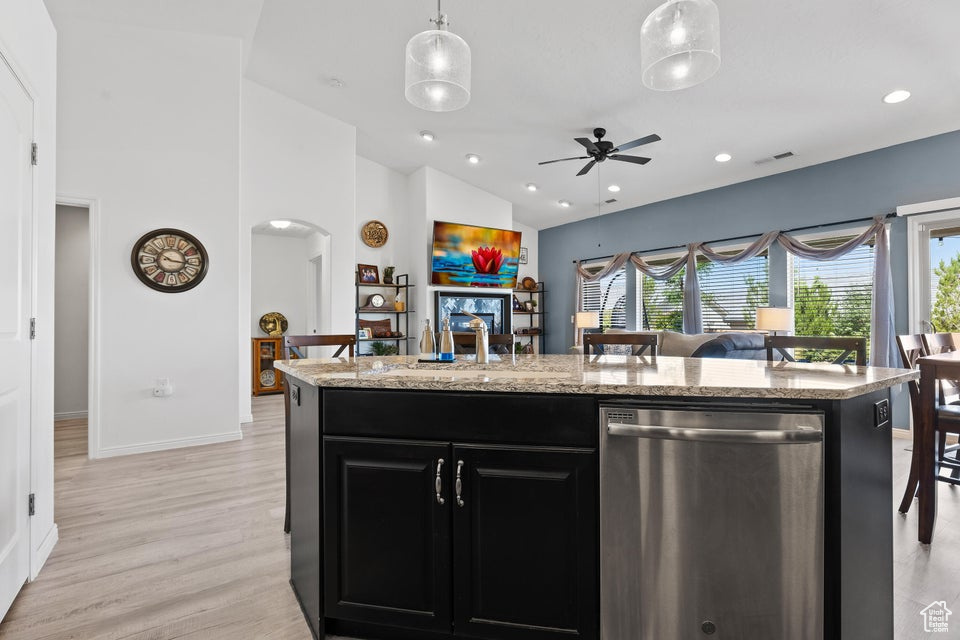 Kitchen with dishwasher, dark cabinets, a sink, baseboards, and lofted ceiling