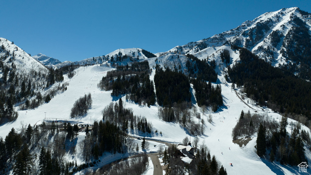 Mountain view
