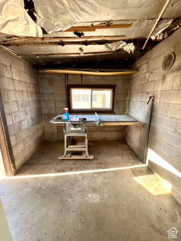 Below grade area with a workshop area