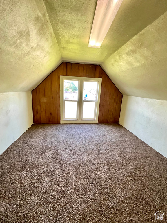Additional living space featuring a textured ceiling, lofted ceiling, carpet floors, and wood walls
