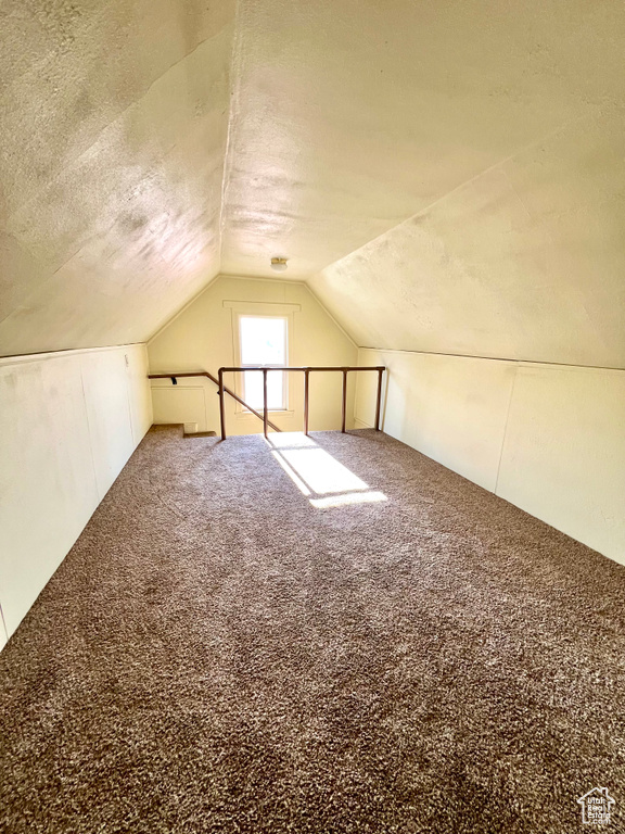 Additional living space featuring lofted ceiling, a textured ceiling, and carpet