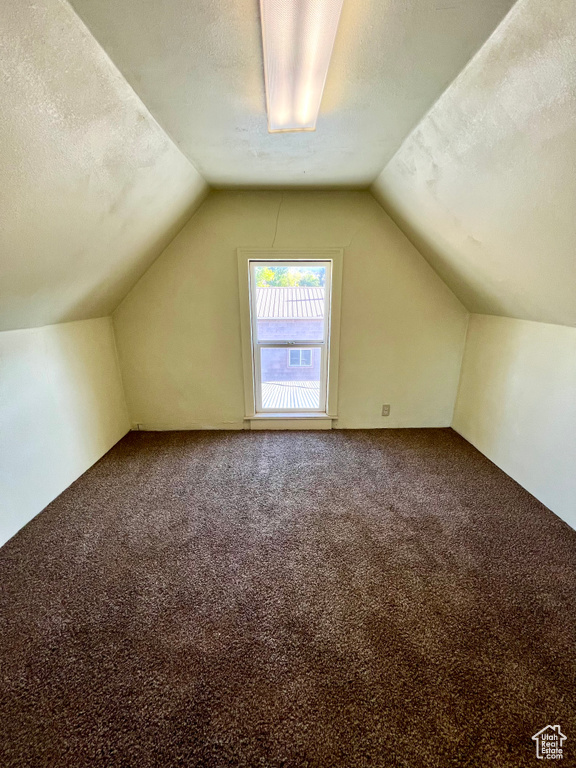 Additional living space with carpet, lofted ceiling, and a textured ceiling