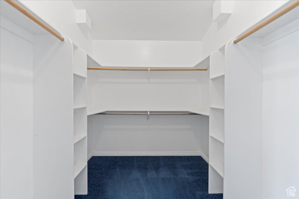 Walk in closet featuring carpet floors
