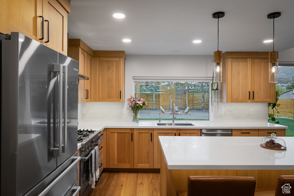 Kitchen with premium appliances, a sink, tasteful backsplash, healthy amount of natural light, and recessed lighting