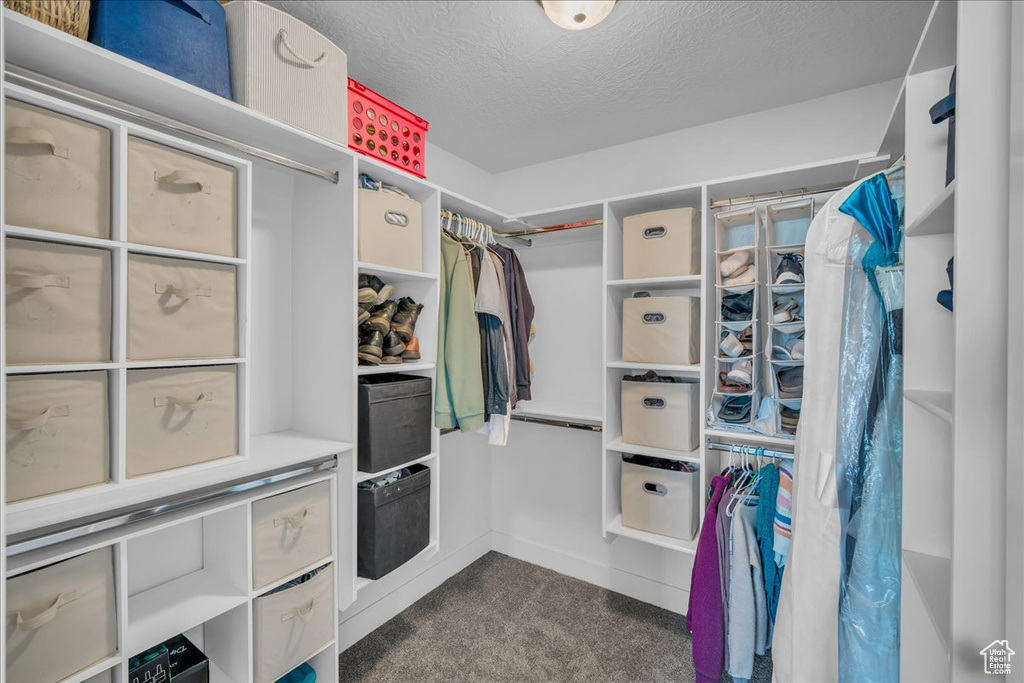 Walk in closet featuring dark colored carpet