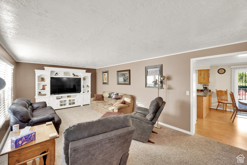 Living area featuring a textured ceiling, light colored carpet, and baseboards