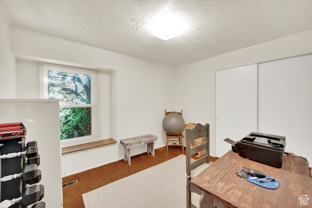 Carpeted home office with a textured ceiling