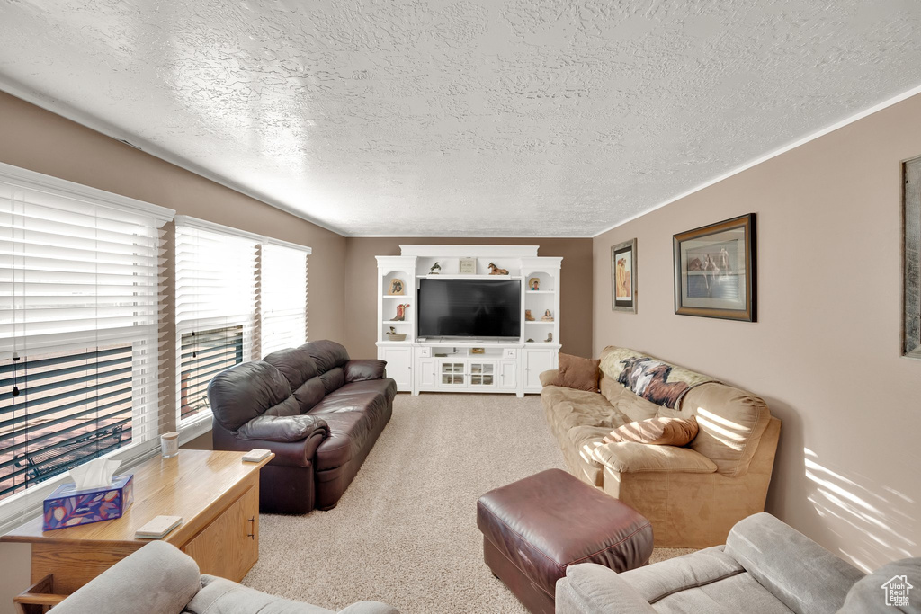 Carpeted living room with a textured ceiling