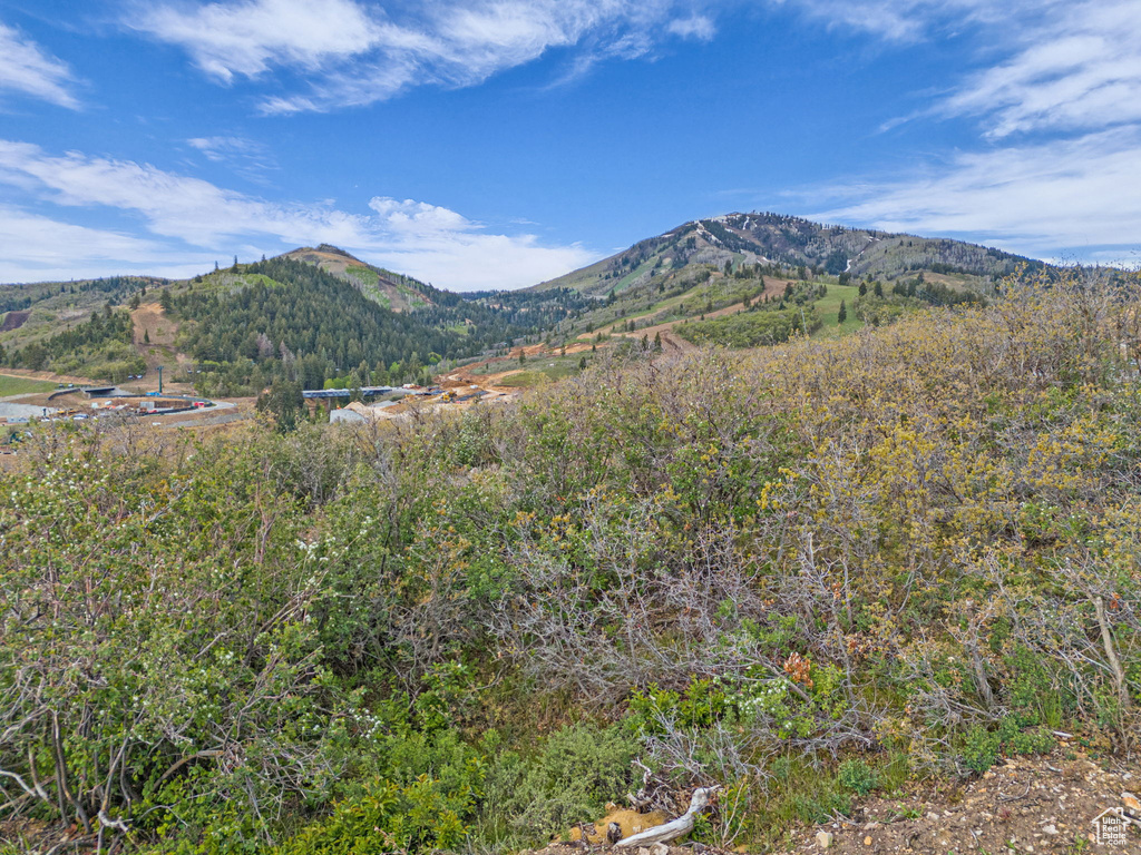 Mountain view