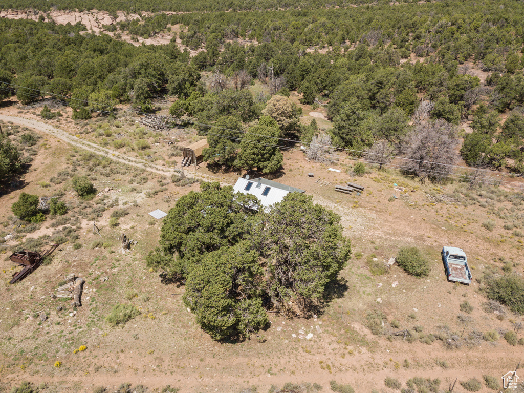 Aerial view of a forest