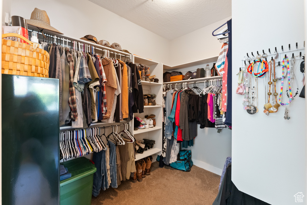Spacious closet with carpet