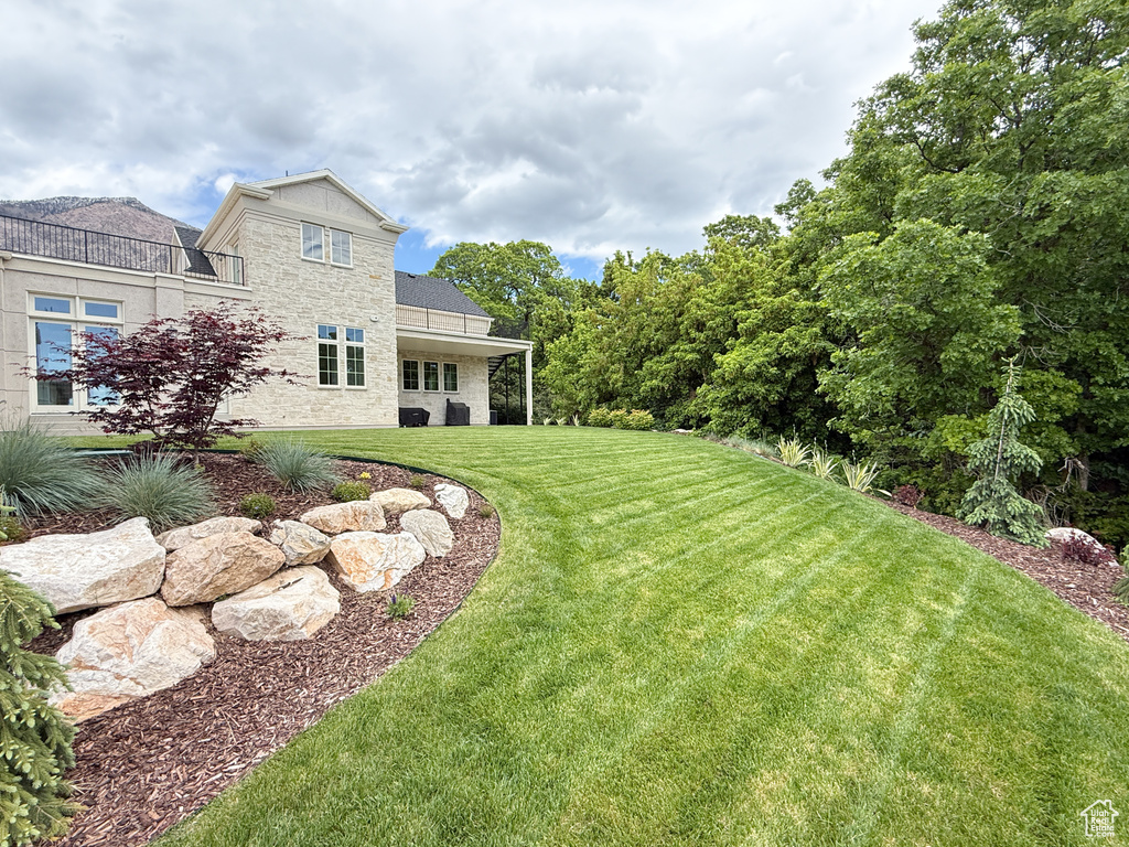 View of grassy yard
