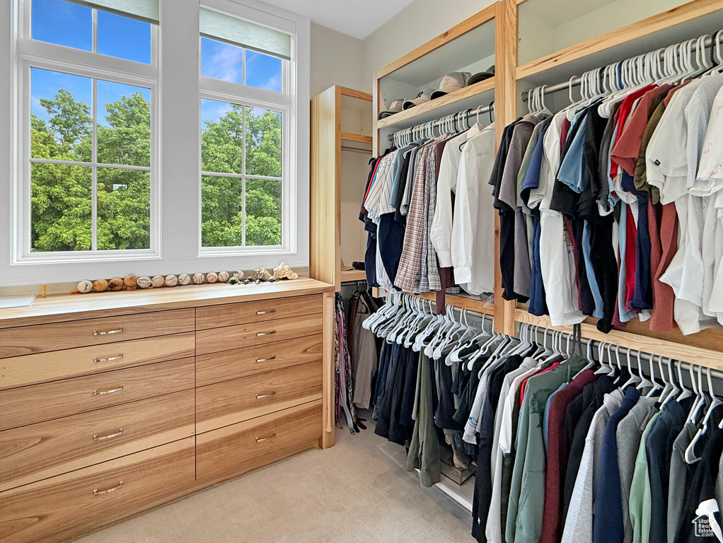 Spacious closet featuring light colored carpet