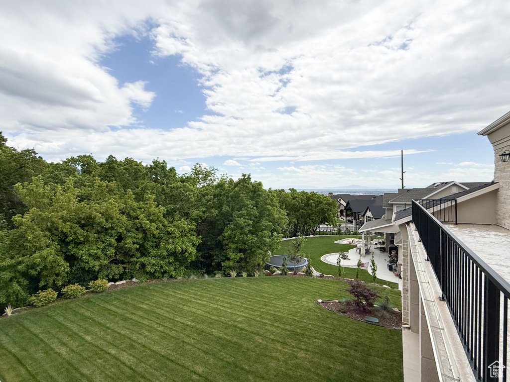 View of grassy yard