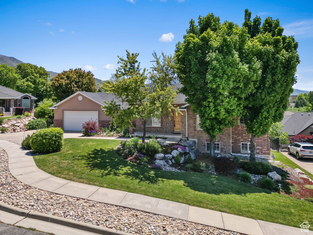 View of property hidden behind natural elements featuring a front lawn, brick siding, and driveway