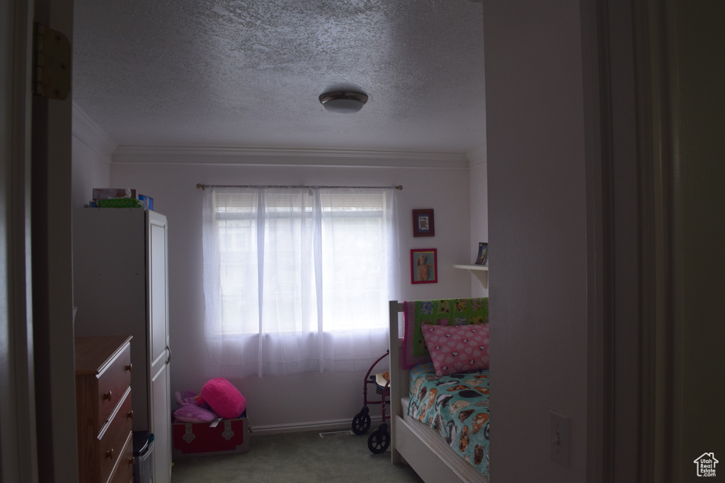 Carpeted bedroom featuring crown molding, a textured ceiling, and baseboards