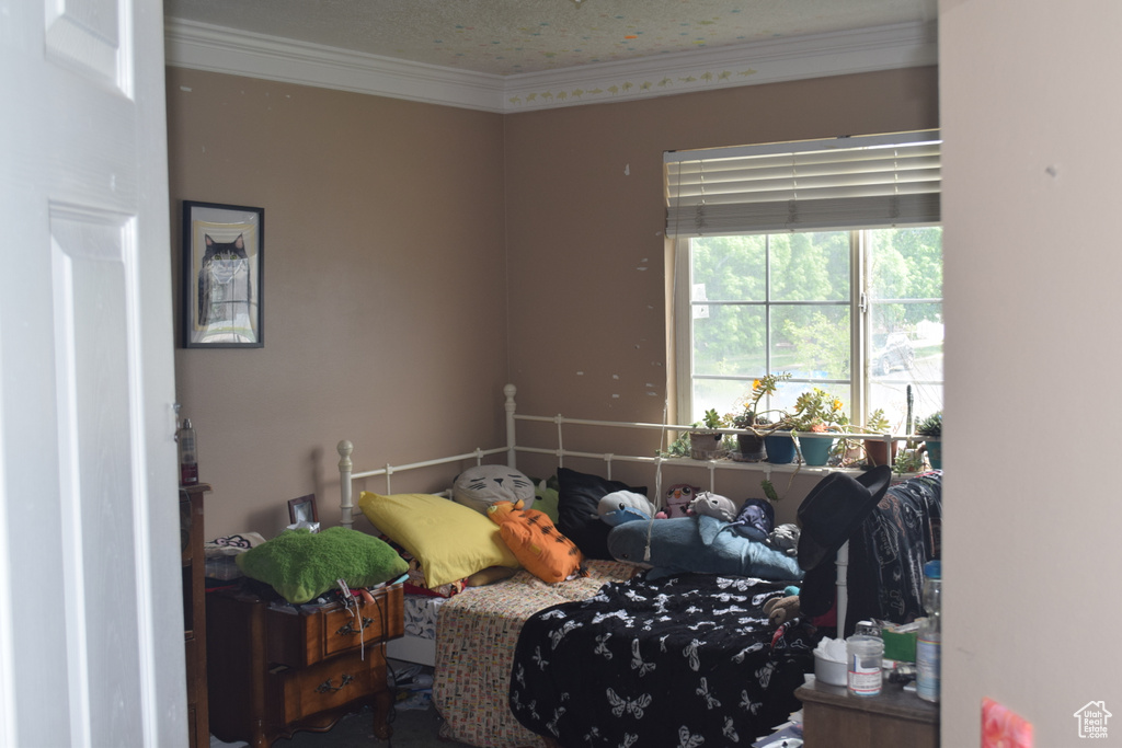 Bedroom featuring ornamental molding