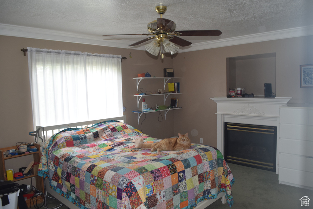 Carpeted bedroom with crown molding, a textured ceiling, a glass covered fireplace, and ceiling fan