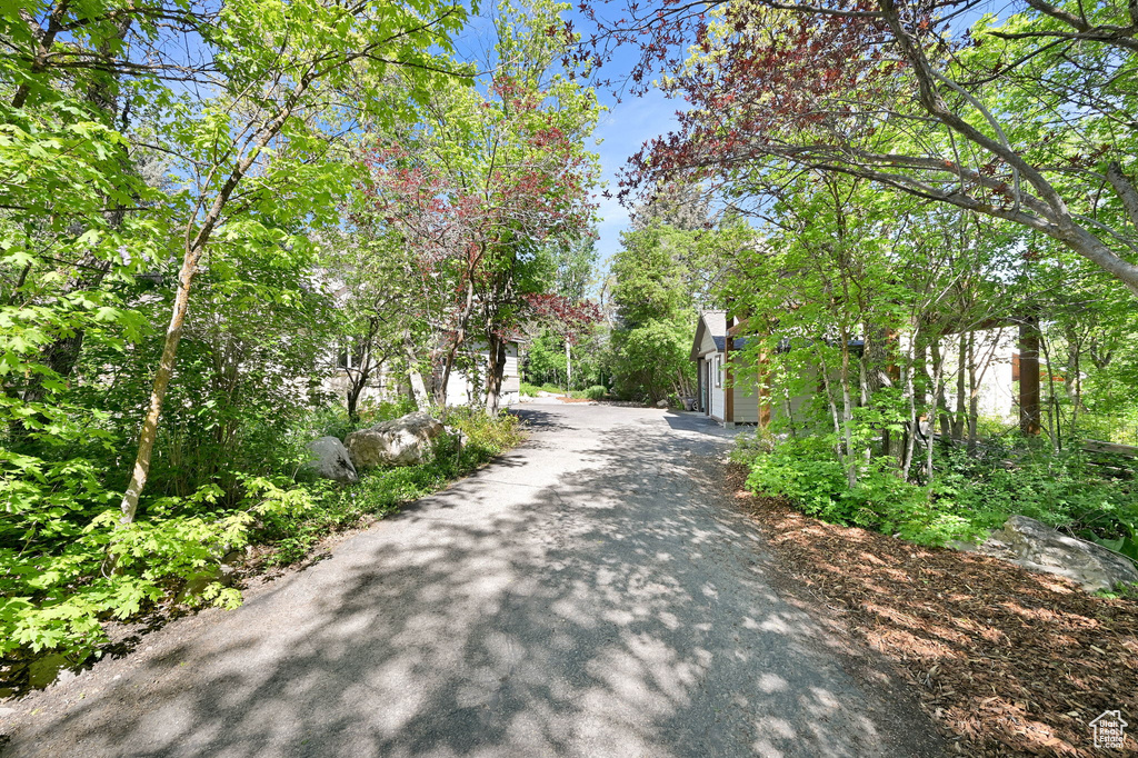 View of asphalt driveway