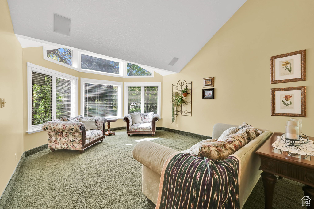 Living area with high vaulted ceiling, plenty of natural light, baseboards, and carpet