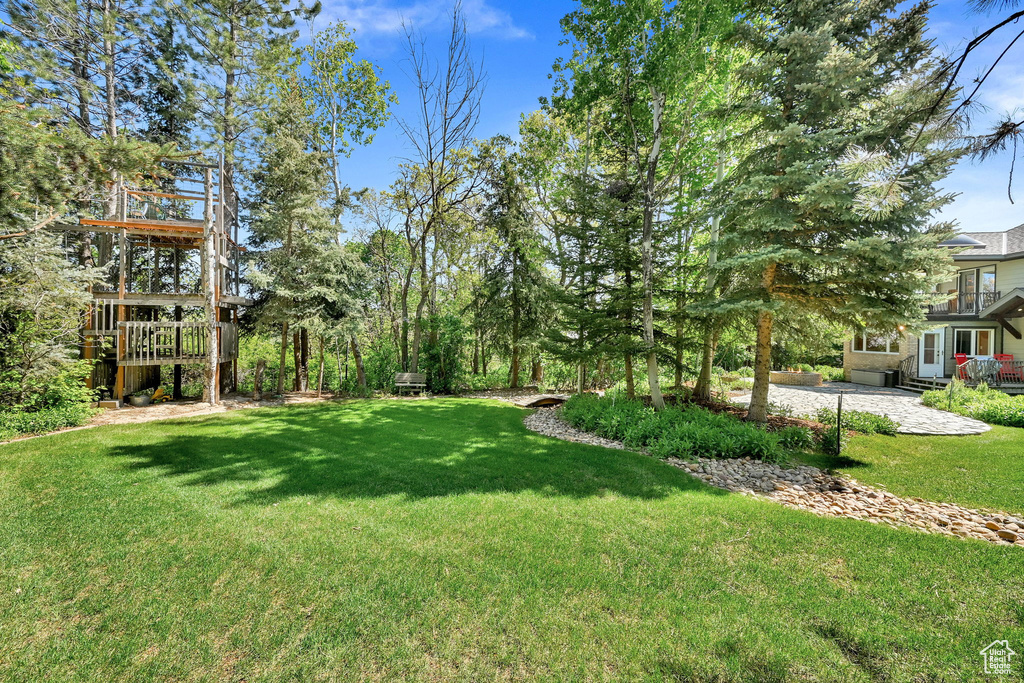 View of grassy yard with a patio