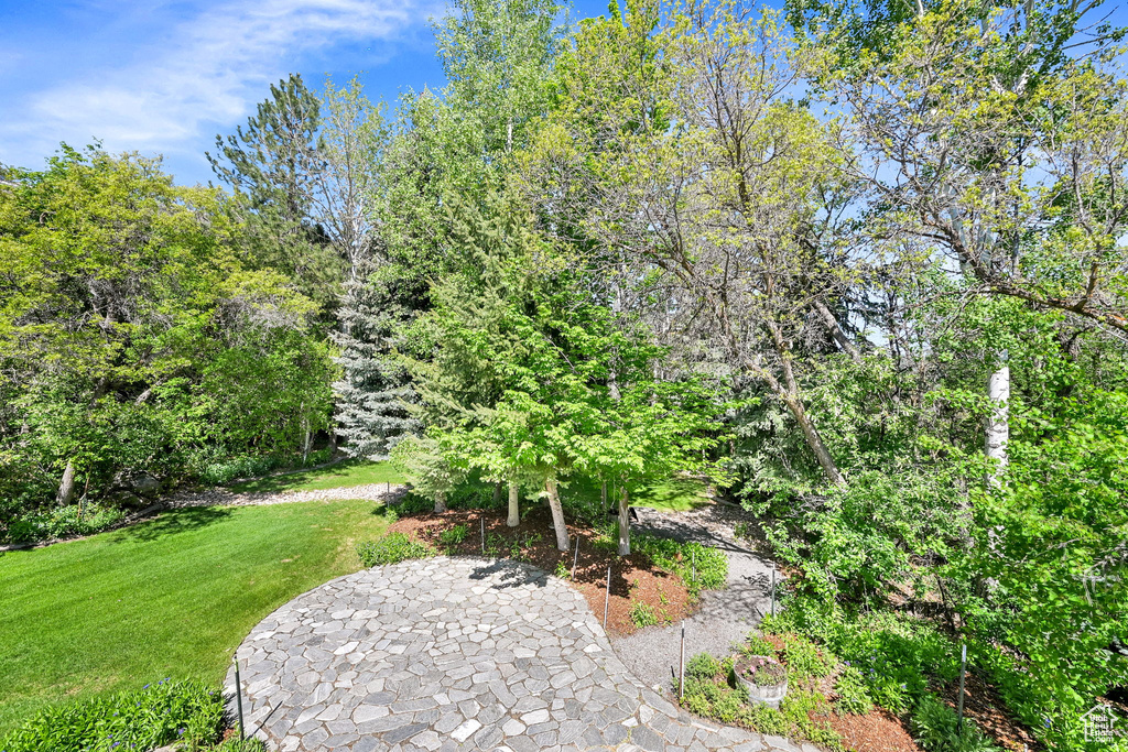 View of green lawn with a patio