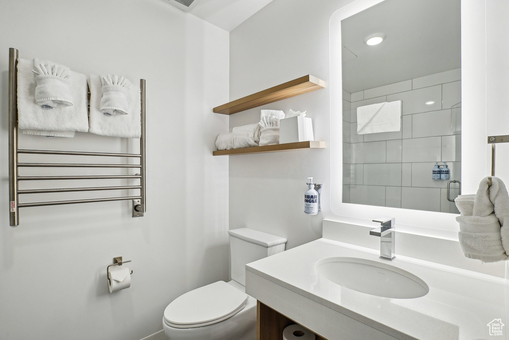 Full bathroom featuring toilet, vanity, and a shower