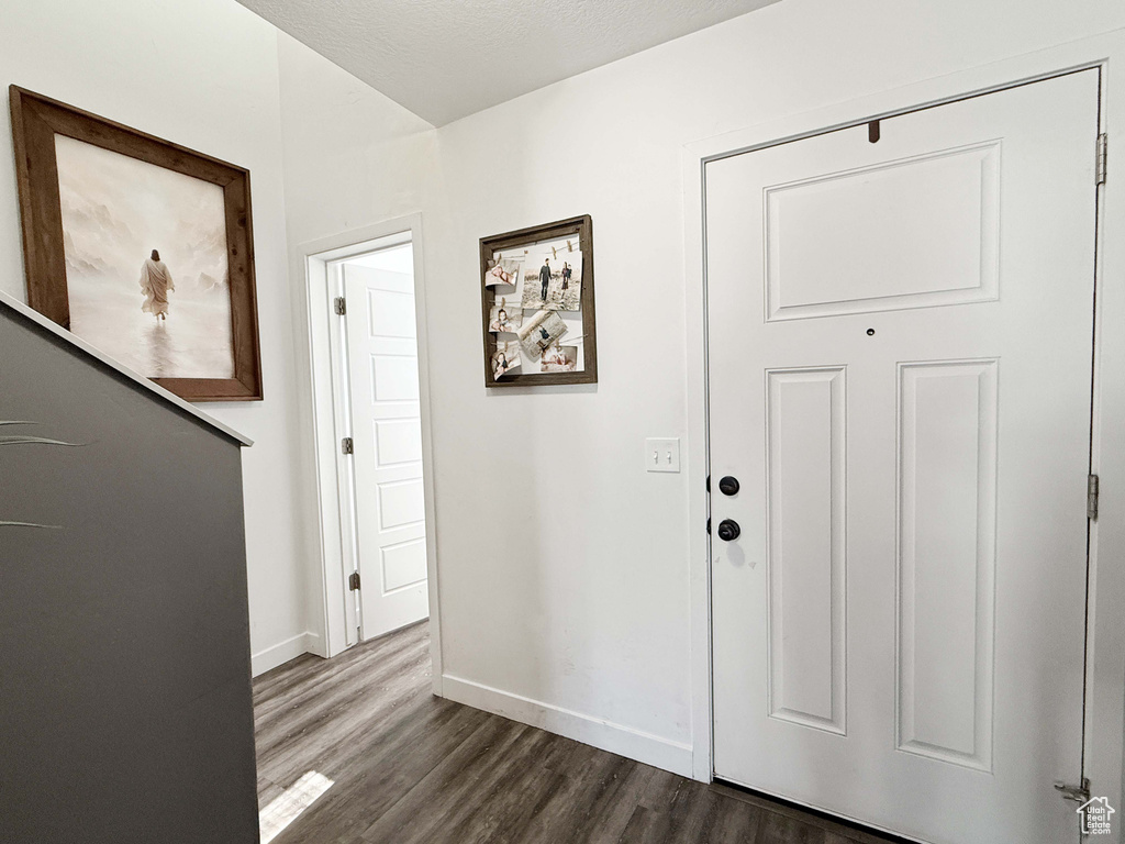 Foyer with dark wood-style flooring and baseboards