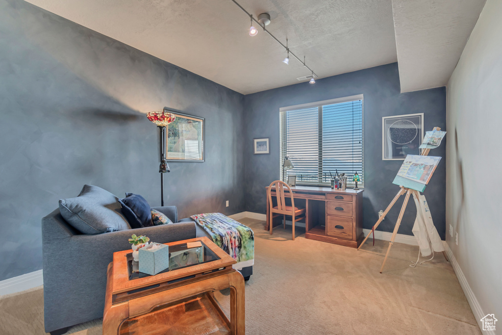 Office space featuring light carpet, baseboards, and track lighting