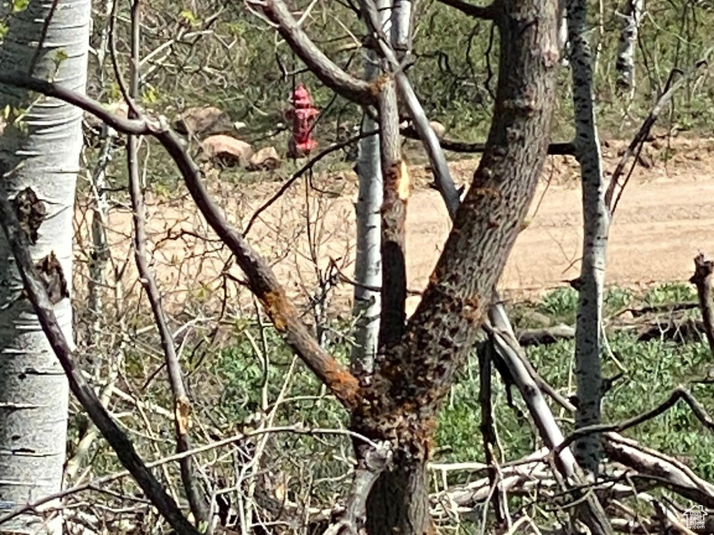 View of nature