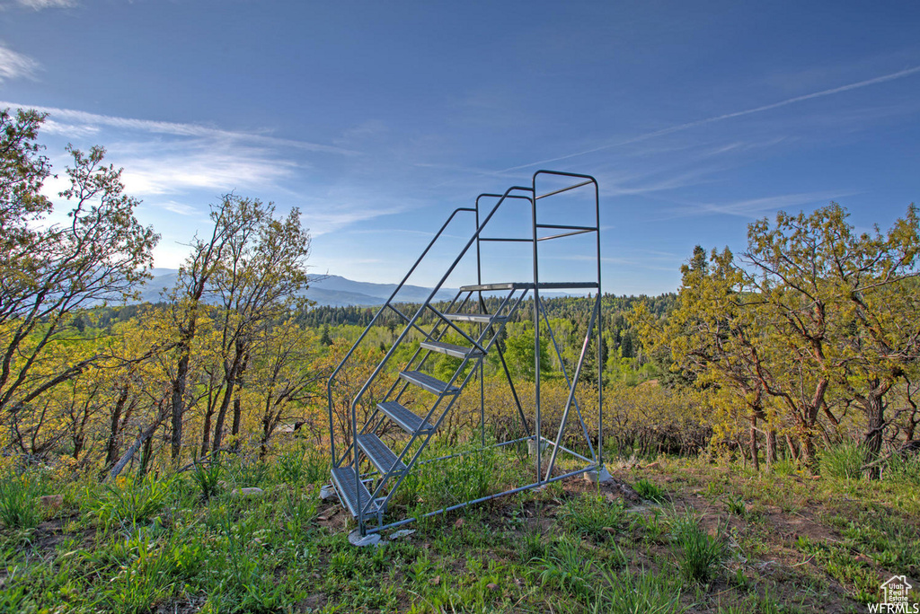 View of yard featuring a mountain view and a wooded view