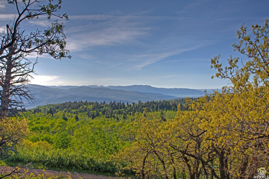 Mountain view featuring a heavily wooded area